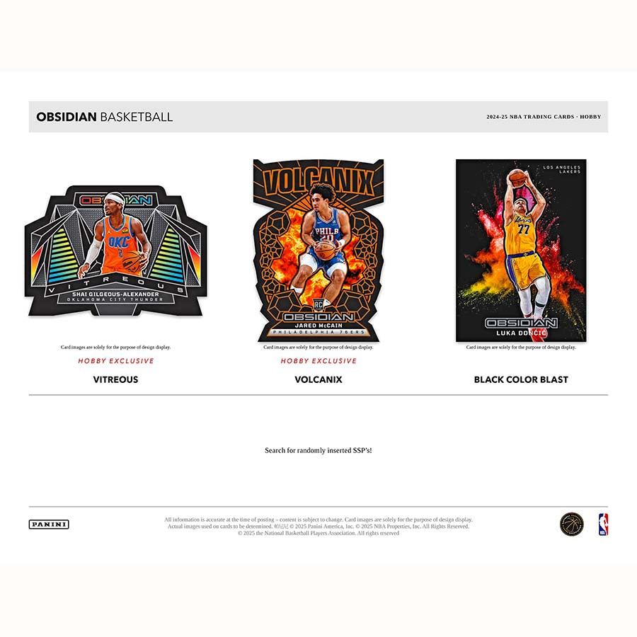 2024-25 Panini Obsidian Basketball Hobby Box