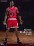 ENTERBAY Dennis Rodman NBA Collection figure Real Masterpiece 1/6